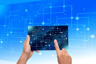 中国篮球青训体系教练员能力评估与发展规划，篮球教练员素养