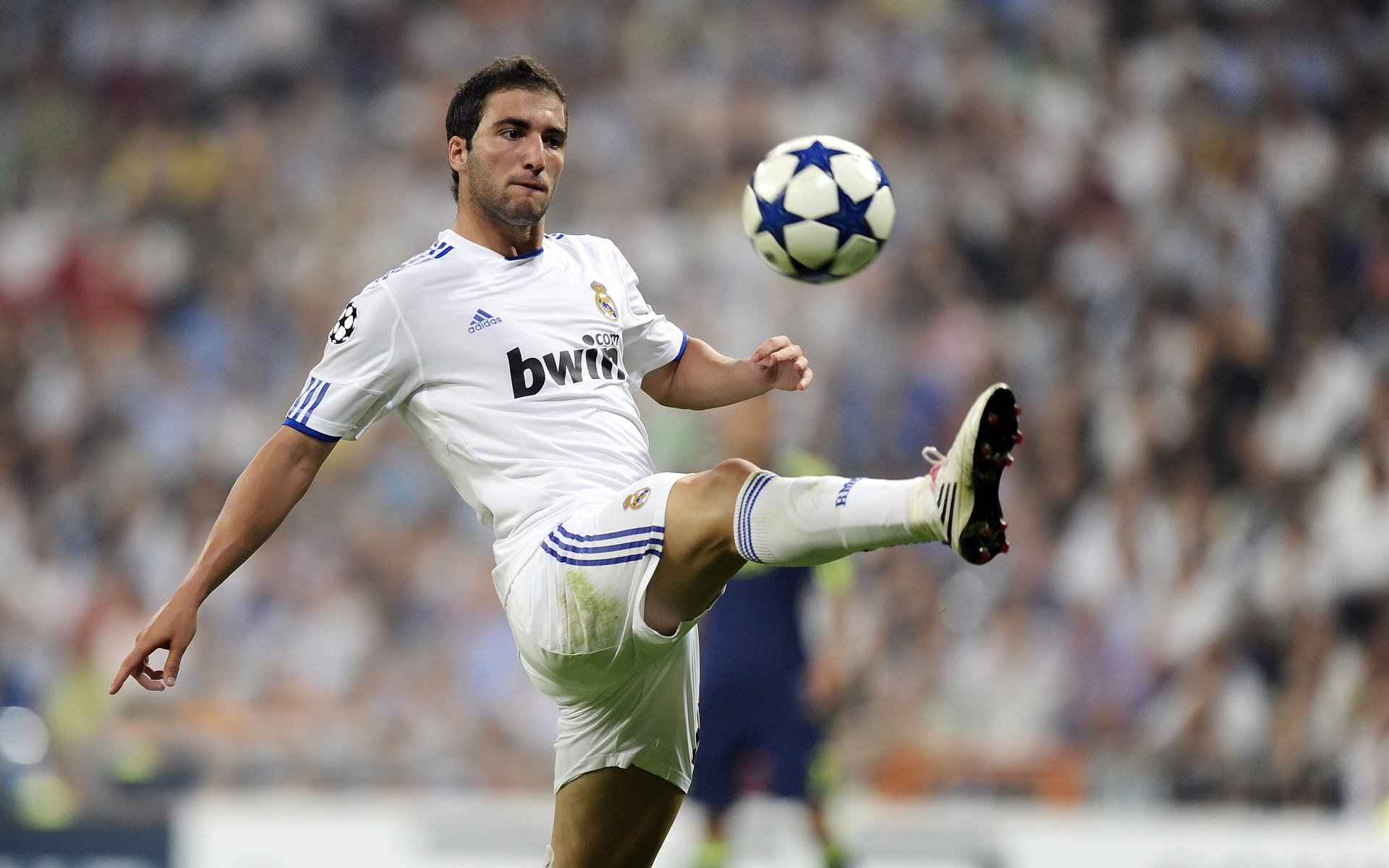 德甲青训初见成效的案例，2021年德甲队伍介绍