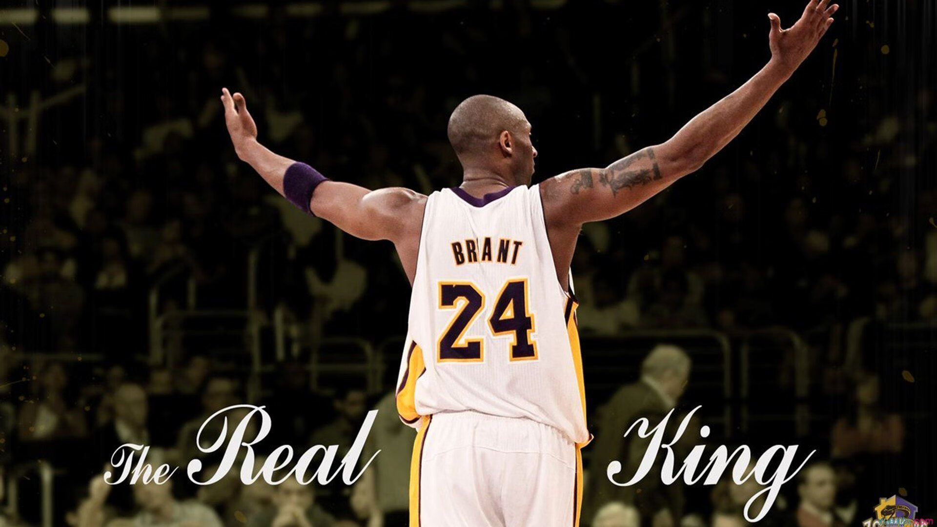 澳大利亚橄榄球的全球化战略铺开，赛事影响力扩展，澳大利亚全国橄榄球联赛